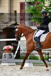 ref. photo 3224362