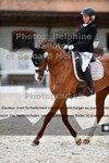 ref. photo 3224364