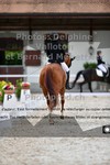 ref. photo 3224367