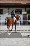 ref. photo 3224368