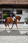 ref. photo 3224369