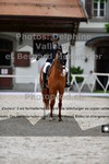 ref. photo 3224380