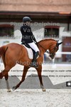 ref. photo 3224385