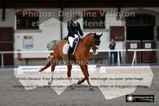 ref. photo 3224402