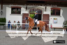 ref. photo 3224407