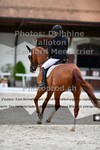 ref. photo 3224411