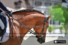 ref. photo 3224443