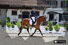 ref. photo 3224450