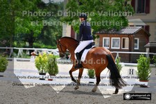 ref. photo 3224464