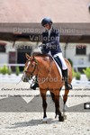 ref. photo 3224475