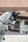 ref. photo 3224478