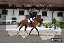 ref. photo 3224511