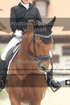ref. photo 3224599