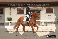 ref. photo 3224606