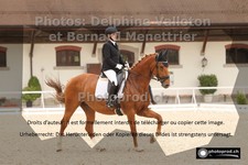 ref. photo 3224607