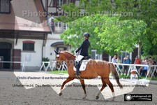 ref. photo 3224623