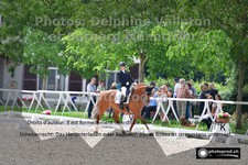 ref. photo 3224626