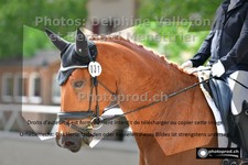 ref. photo 3224636