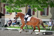 ref. photo 3224639