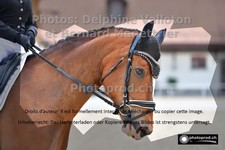 ref. photo 3224657
