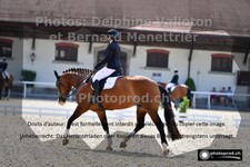 ref. photo 3224686