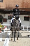 ref. photo 3224711