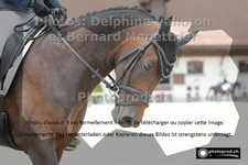 ref. photo 3224742