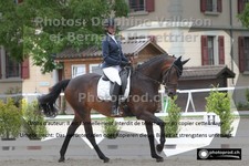 ref. photo 3224752