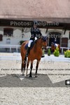 ref. photo 3224804