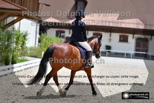 ref. photo 3224811