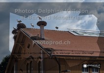 ref. photo 3224835