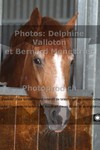 ref. photo 3224846