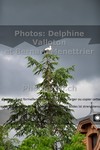 ref. photo 3224857