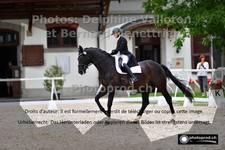 ref. photo 3224861