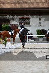 ref. photo 3224868