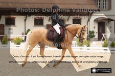 ref. photo 3224939