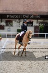 ref. photo 3224976