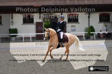 ref. photo 3224984
