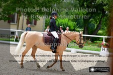 ref. photo 3225002