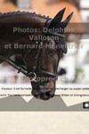 ref. photo 3225047