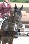 ref. photo 3225049