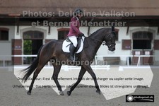 ref. photo 3225055