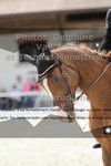 ref. photo 3225063