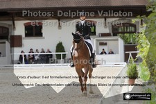 ref. photo 3225064