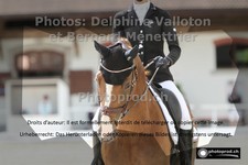 ref. photo 3225065