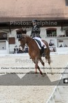 ref. photo 3225072