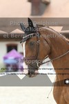 ref. photo 3225077