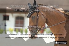 ref. photo 3225078