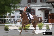 ref. photo 3225080