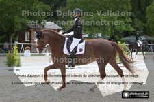 ref. photo 3225083